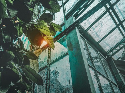 building a greenhouse from reclaimed windows