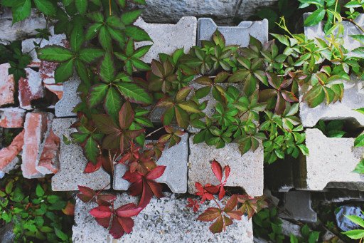 The Ultimate Guide to Choosing and Installing Garden Retaining Wall Blocks