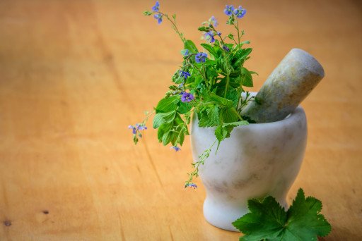 The Comprehensive Guide to Modern Herbalism: Unlocking Nature’s Healing Power